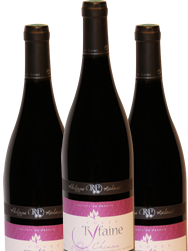 Cuve vin rouge Chinon AOC, Philippe Richard